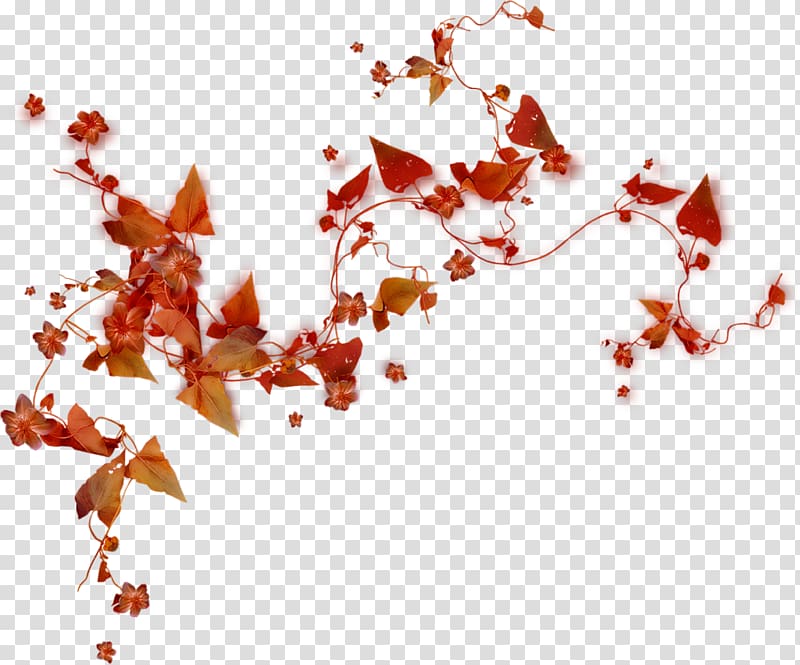 Pink flowers , autumn leaves transparent background PNG clipart