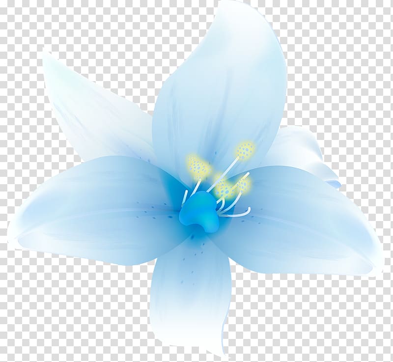 blue and white lily illustration, Petal Blue Flower Graphics , Large White Lilium transparent background PNG clipart