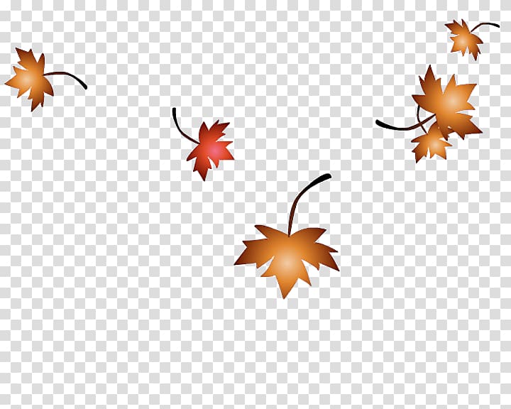 Maple leaf SWF, Autumn leaves transparent background PNG clipart
