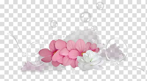 Floral design Blog , others transparent background PNG clipart