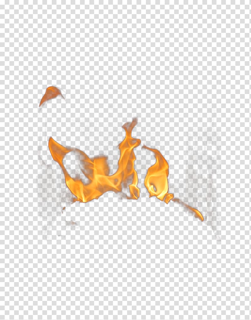 Fire Flame , Beautiful orange flames Free buckle material transparent background PNG clipart