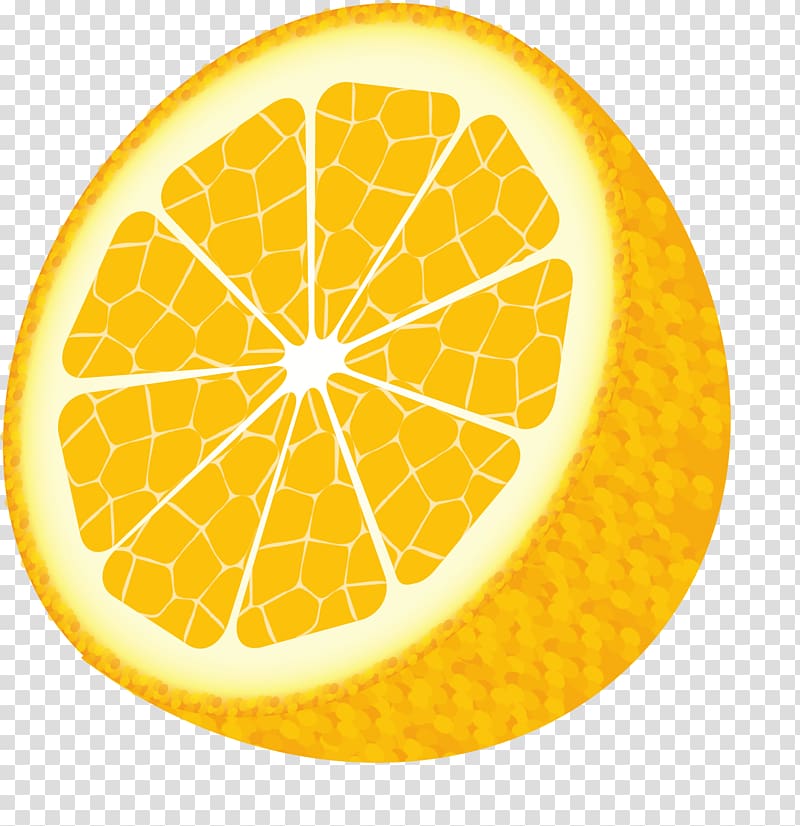 Lemon Drawing, Lemon transparent background PNG clipart