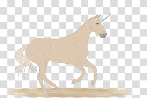 Mane Mustang Stallion Mare Rein, mustang transparent background PNG clipart thumbnail