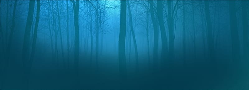 Blue Turquoise , Forest background transparent background PNG clipart