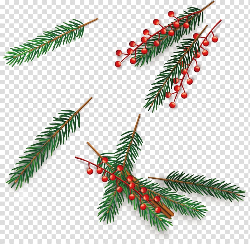 christmas pine needles red fruit transparent background PNG clipart