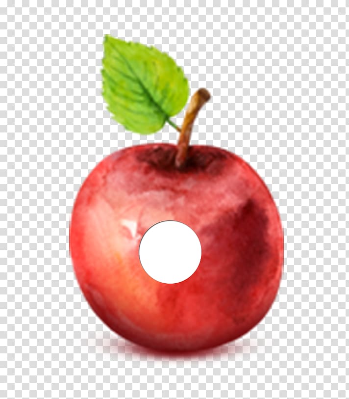 Apple Watercolor painting Drawing, Eric Carle transparent background PNG clipart