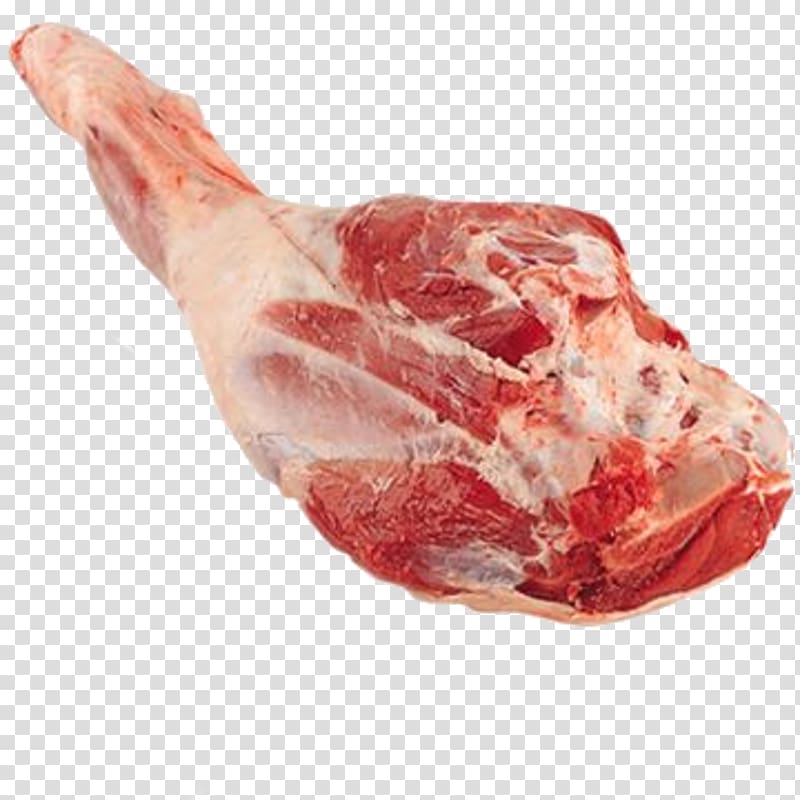 Lamb and mutton Sheep Goat Leg Meat, sheep transparent background PNG clipart