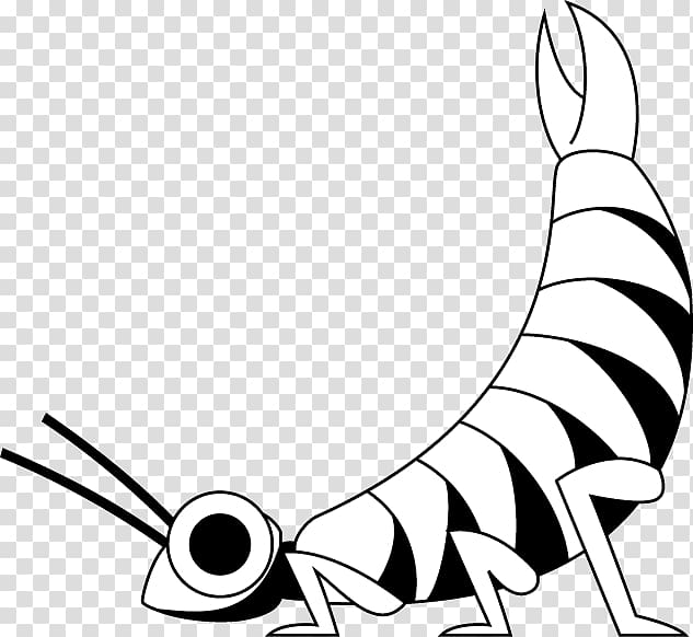 Finger Line art Illustration Cartoon, earwigs insect transparent background PNG clipart