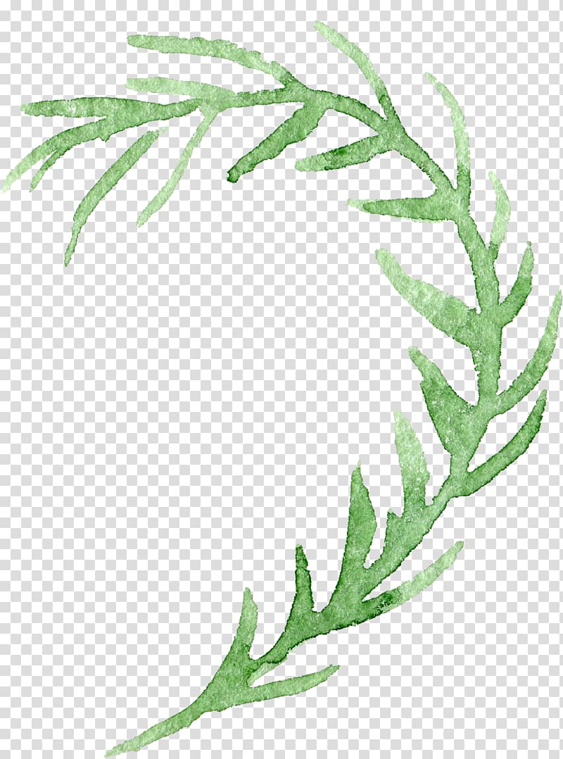 green leaf illustration, Watercolor painting Transparency and translucency Flower, background floral botanical watercolor flowers transparent background PNG clipart