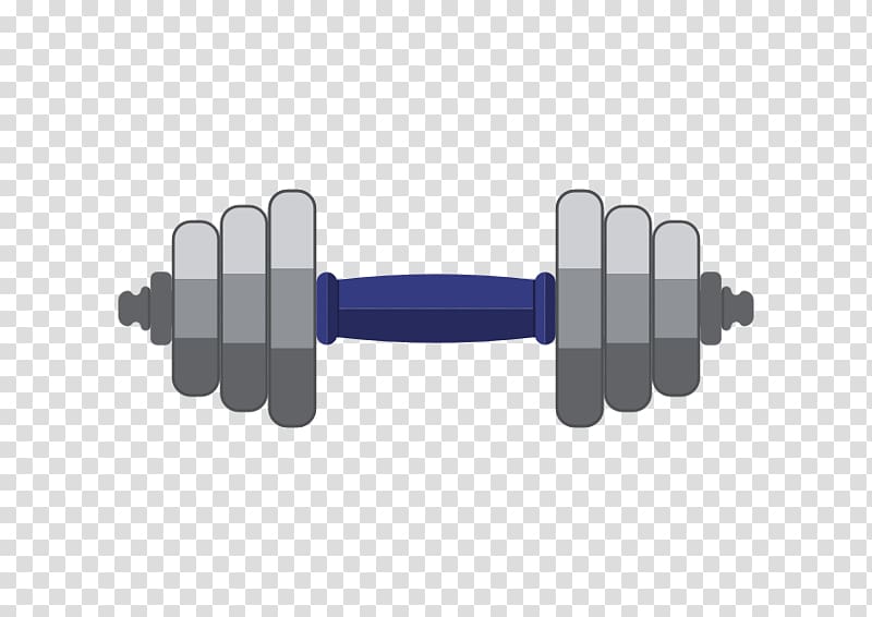 Dumbbell Barbell Euclidean , Dumbbell transparent background PNG clipart