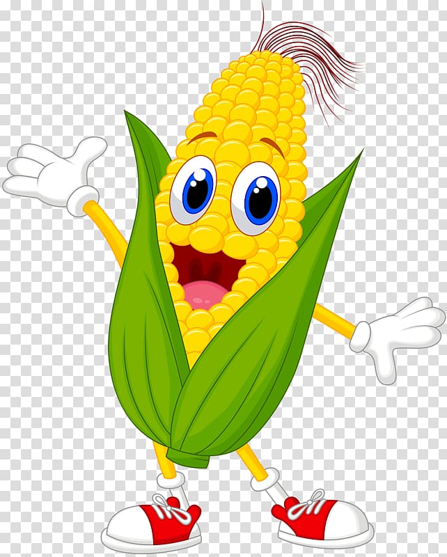 Corn on the cob Maize Cartoon, vegetable and fruit industry card transparent background PNG clipart
