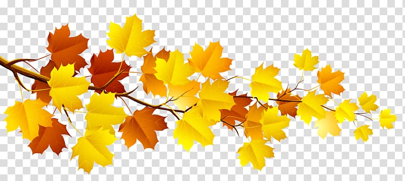 Branch Autumn Tree , Branch with Autumn Leaves , yellow and brown maple branch transparent background PNG clipart