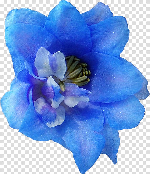 Blue Flower Drawing , flower transparent background PNG clipart