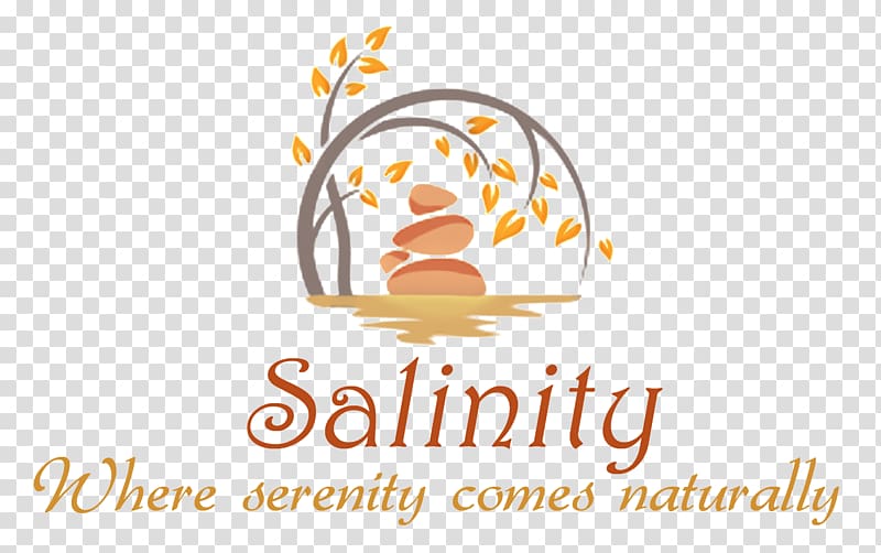 Salinity Halotherapy Massage Reflexology, others transparent background PNG clipart