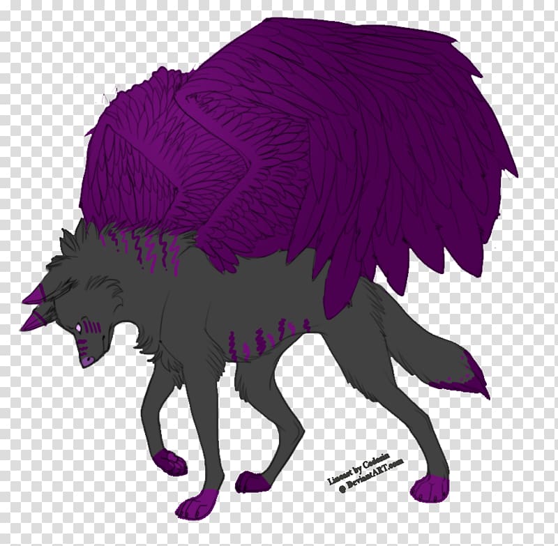 Carnivores Australian Shepherd Black wolf Eastern wolf Canidae, Winged Wolf Coloring Pages transparent background PNG clipart