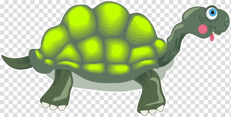 Turtle The Tortoise and the Hare , turtle transparent background PNG clipart