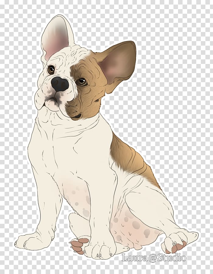 French Bulldog Toy Bulldog Puppy Dog breed, cute french bulldog transparent background PNG clipart