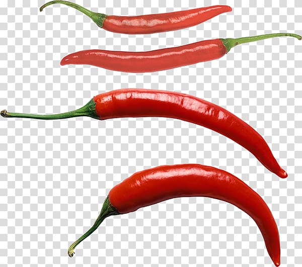 Bird's eye chili Chile de árbol Serrano pepper Tabasco pepper Jalapeño, others transparent background PNG clipart