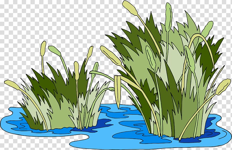 Windows Metafile Swamp, the jungle book transparent background PNG clipart