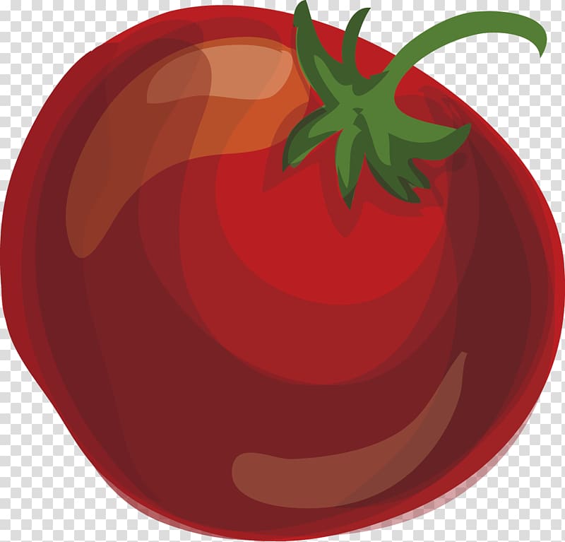 Tomato, Tomato decorative elements transparent background PNG clipart