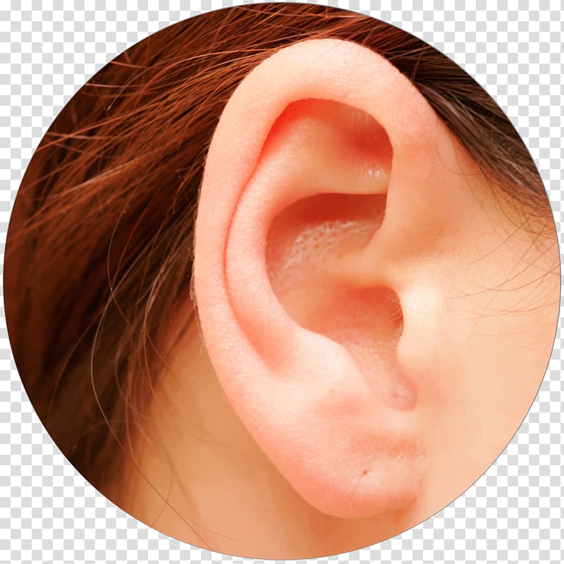 Otitis externa Ear pain Infection Otitis media, beauty clinic transparent background PNG clipart