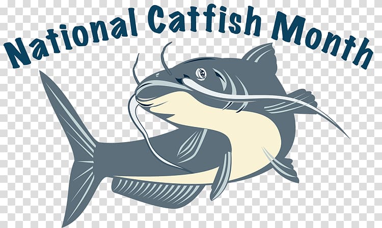 Catfish Drawing , others transparent background PNG clipart