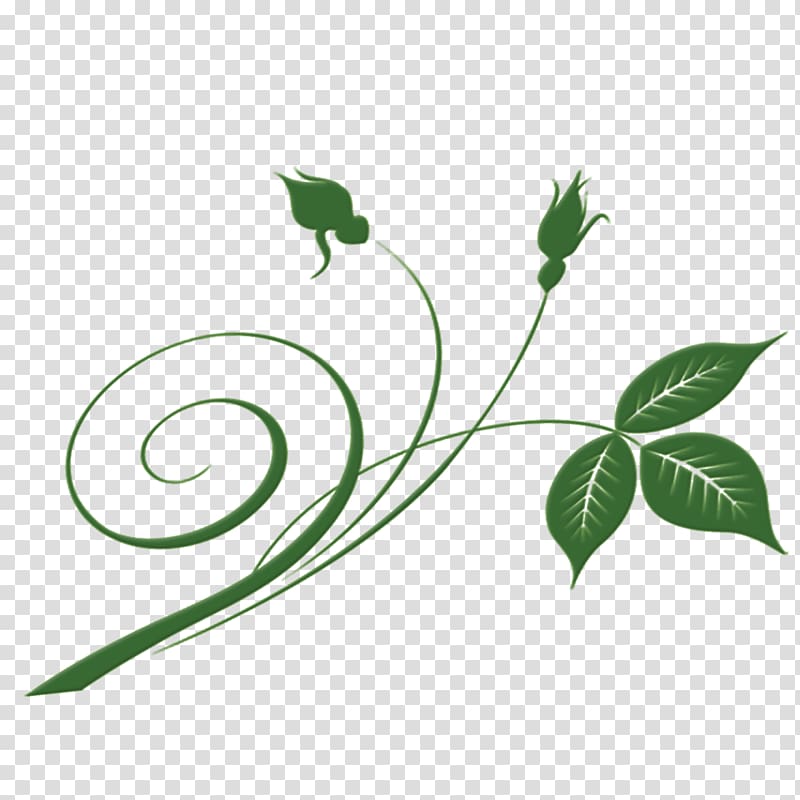 Leaf Green, Emerald green leaf material transparent background PNG clipart