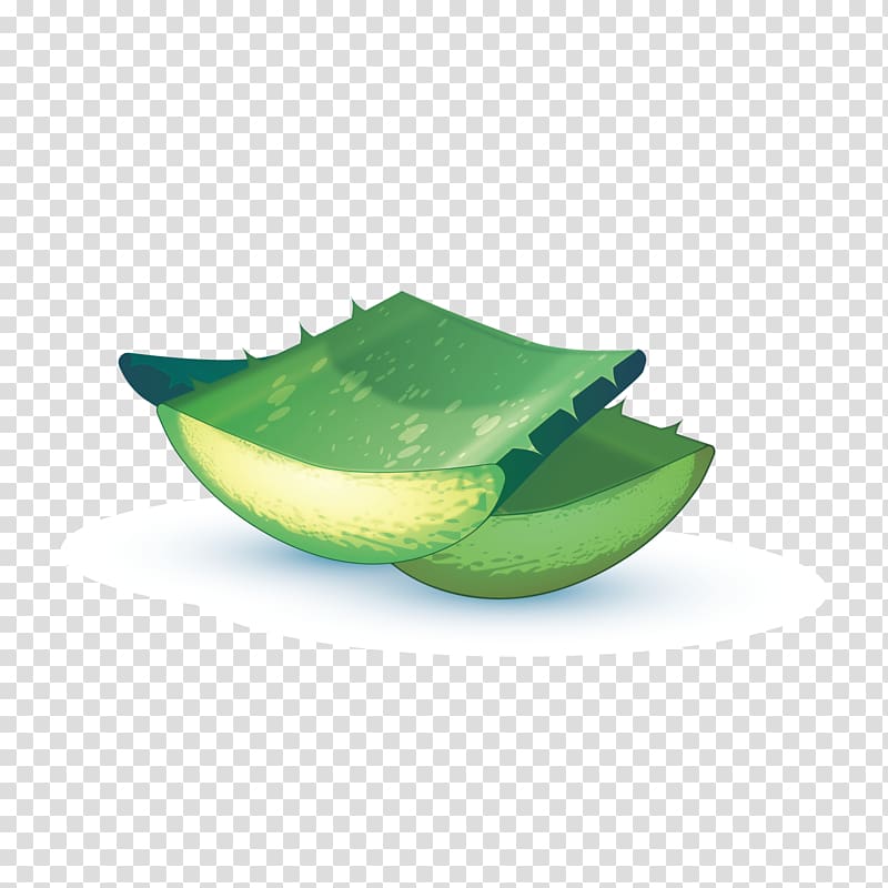 Aloe vera, aloe vera transparent background PNG clipart