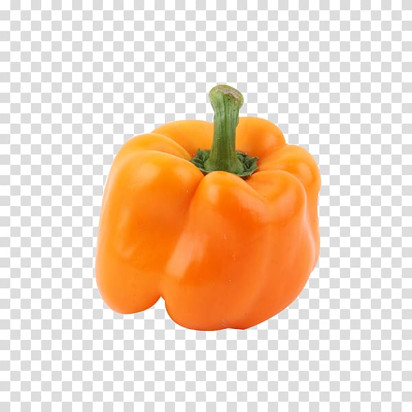 Bell pepper Capsicum baccatum Chili pepper Paprika Vegetable, Organic vegetables green pepper transparent background PNG clipart