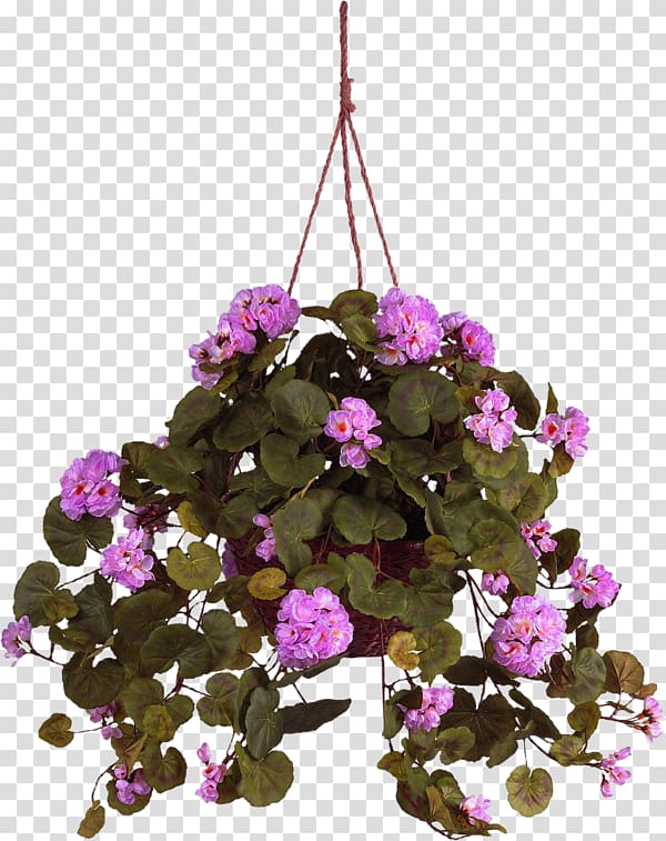 Hanging basket Crane's-bill Artificial flower, flower transparent background PNG clipart