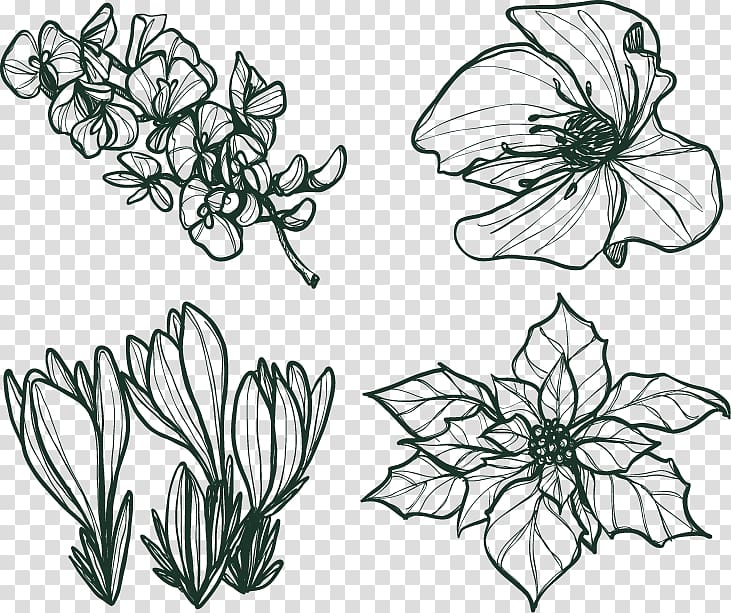 Euclidean Flower Poinsettia Winter, Four kinds of hand-painted flower pattern Winter transparent background PNG clipart