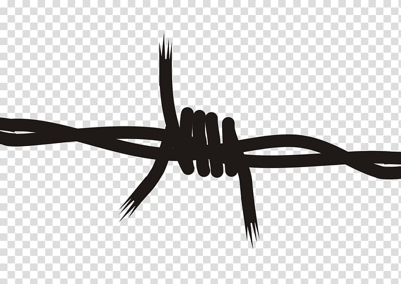 Barbwire transparent background PNG clipart