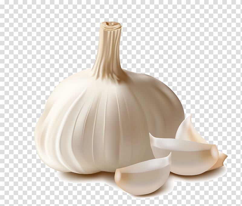 Garlic transparent background PNG clipart