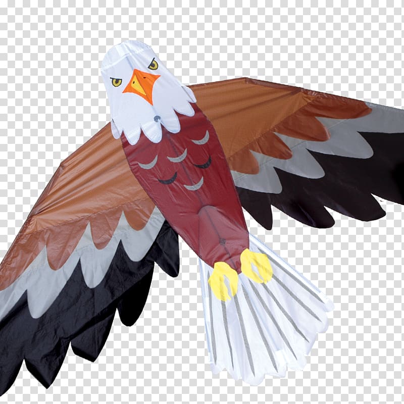 Bald Eagle America\'s Favorite Backyard Birds Kite, kite transparent background PNG clipart