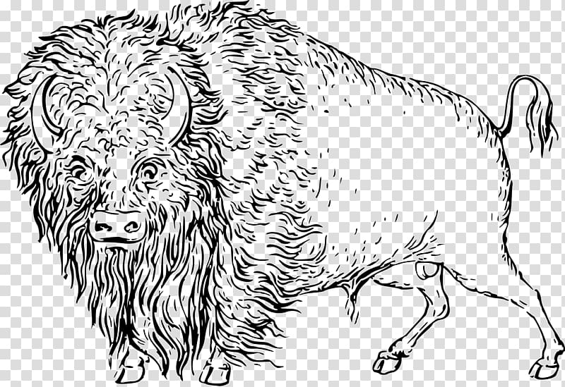 Cattle Line art Drawing , bison transparent background PNG clipart