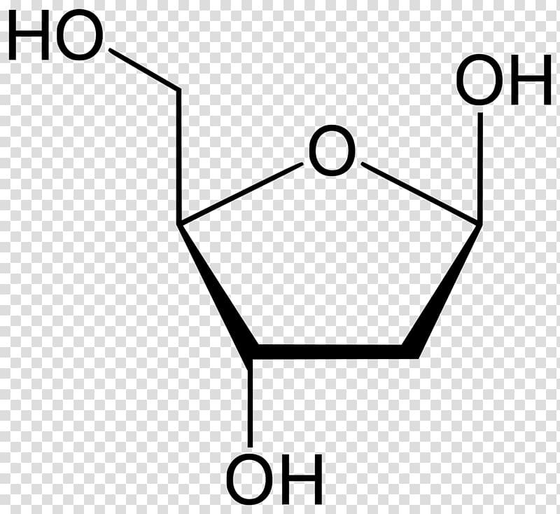 Fructose Monosaccharide Ribose Furanose Carbohydrate, Threeact Structure transparent background PNG clipart