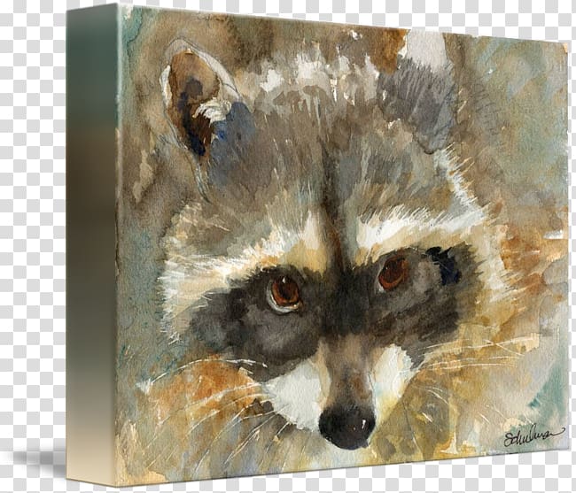 Raccoon Red fox Painting Whiskers, watercolor animal transparent background PNG clipart