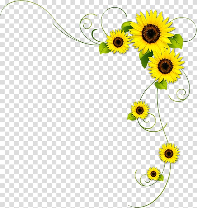 beautiful flowers background decoration transparent background PNG clipart