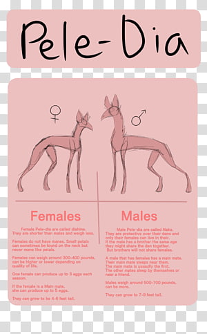 Coffee Sugar Mammal Flower , Coffee transparent background PNG clipart thumbnail