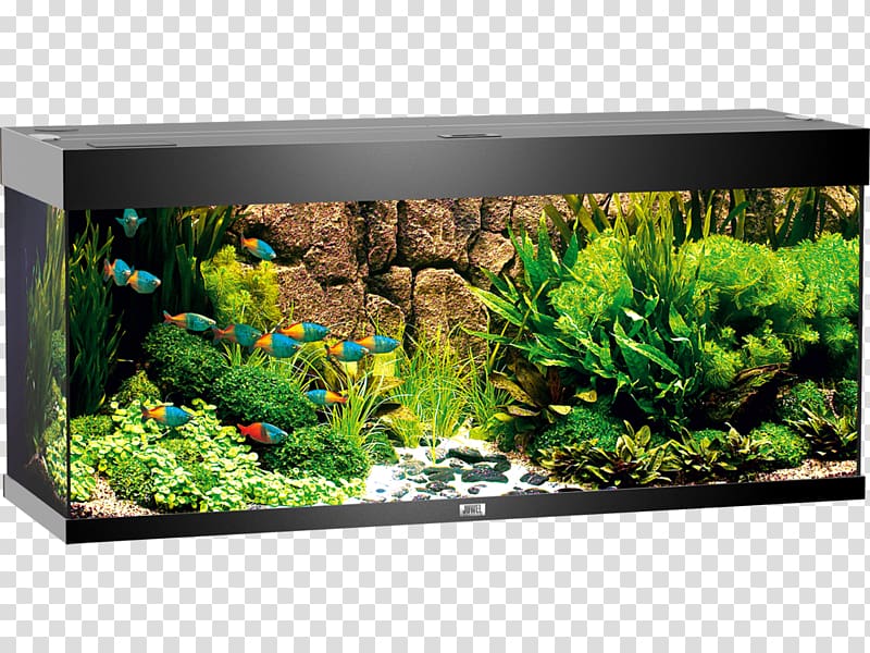 Aquarium Bitxi Light Fishkeeping, light transparent background PNG clipart