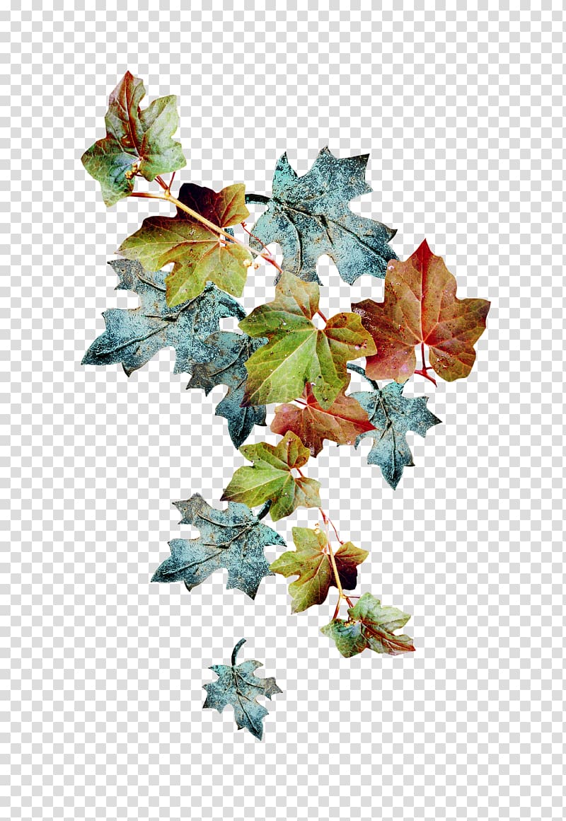 Christmas ornament Leaf Branching, autumn transparent background PNG clipart