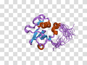 Octopus Font, others transparent background PNG clipart thumbnail