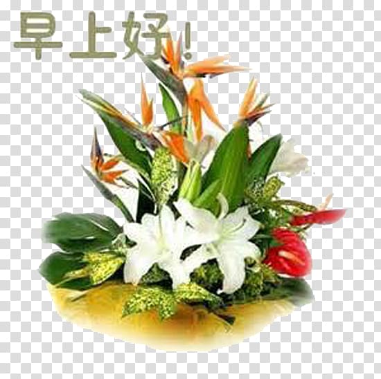 Morning Greeting Tencent QQ Night WeChat, Lily open transparent background PNG clipart