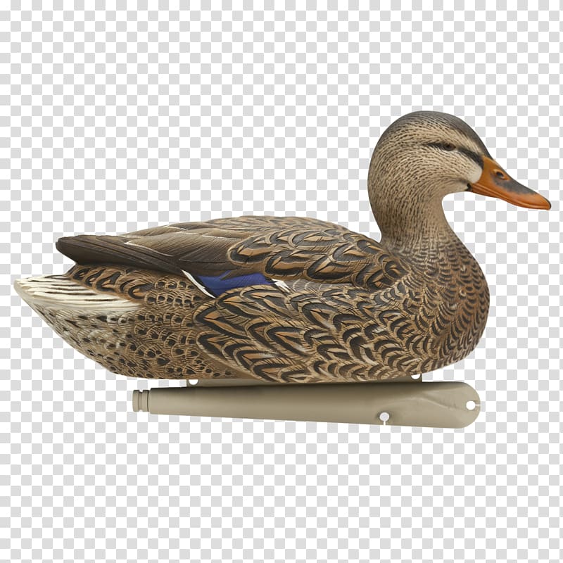 Mallard Duck decoy Goose, duck transparent background PNG clipart