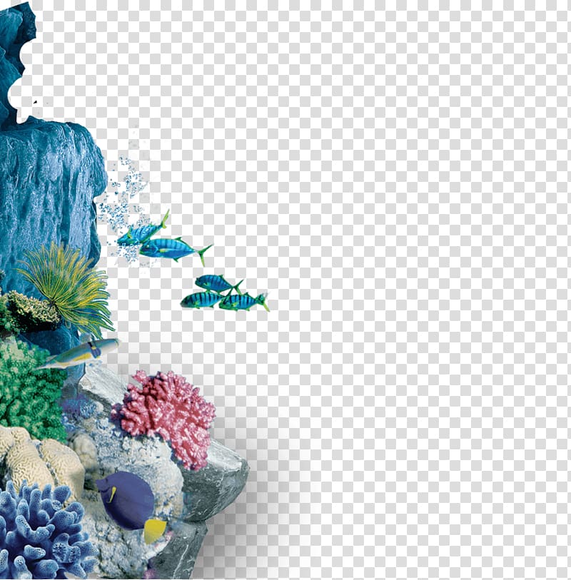 underwater world beautiful coral transparent background PNG clipart