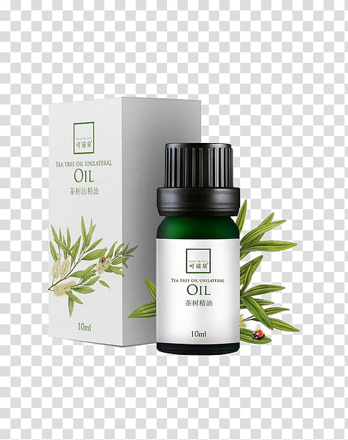 Tea tree oil Essential oil Narrow-leaved paperbark Cosmetics, Oil can Couture spring transparent background PNG clipart