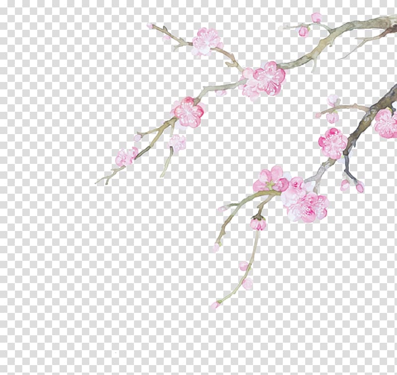Watercolor painting Illustration, Chinese wind plum transparent background PNG clipart