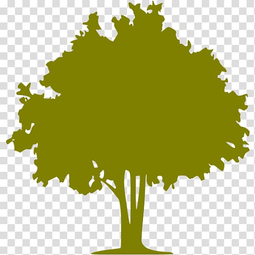 Tree Computer Icons Olive Forest Color, olive tree transparent background PNG clipart