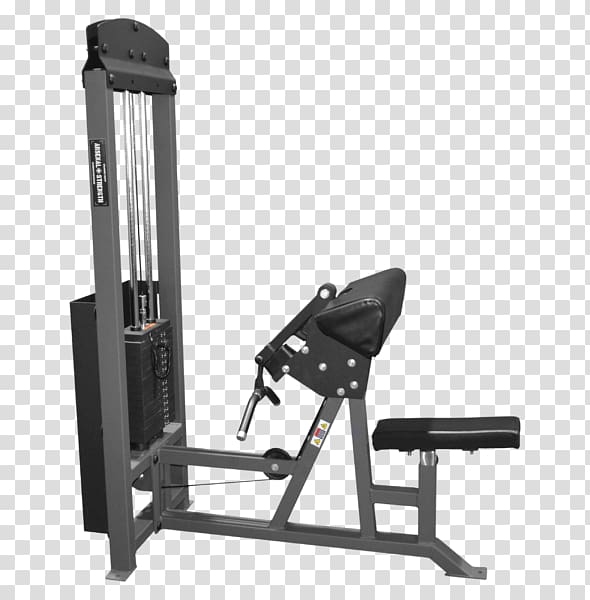 Biceps curl Strength training Leg curl Fitness Centre, others transparent background PNG clipart