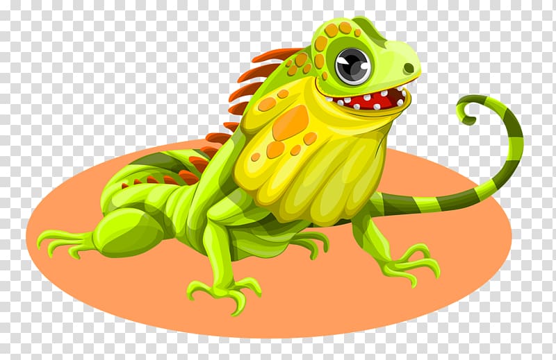 Lizard Green iguana Reptile Marine iguana , lizard transparent background PNG clipart